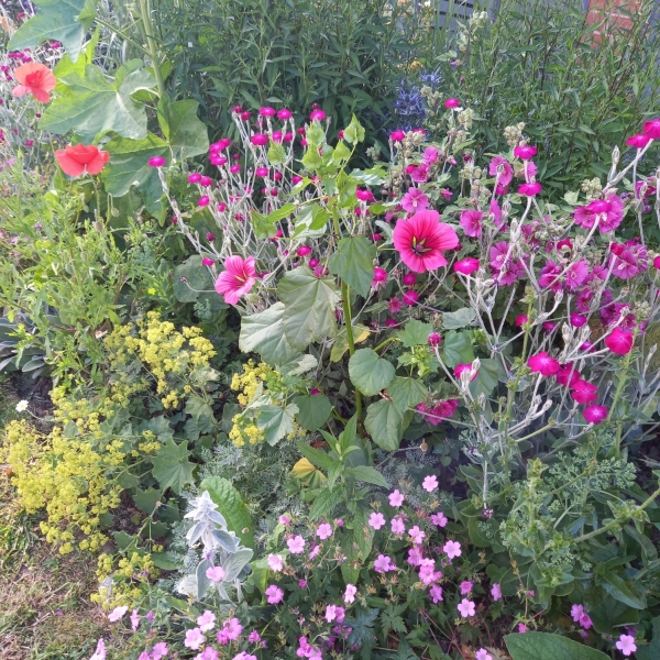 Kenilworth Community Gardens